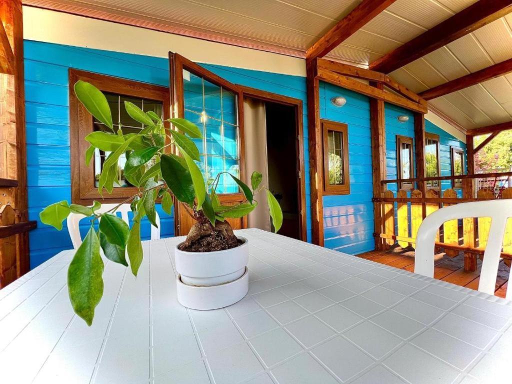 Camping Village Tuscia Tirrenica 타르퀴니아 외부 사진