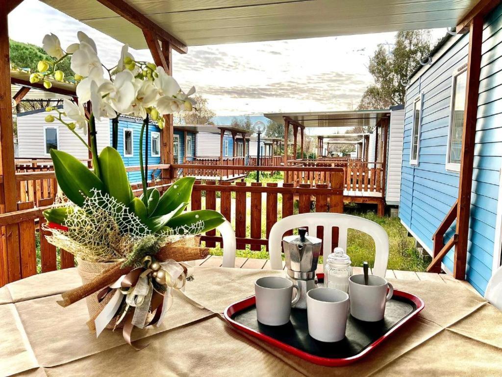 Camping Village Tuscia Tirrenica 타르퀴니아 외부 사진